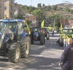 News Basilicata - Protesta Coldiretti, dalla Regione un pacchetto da 25 milioni per l’agricoltura